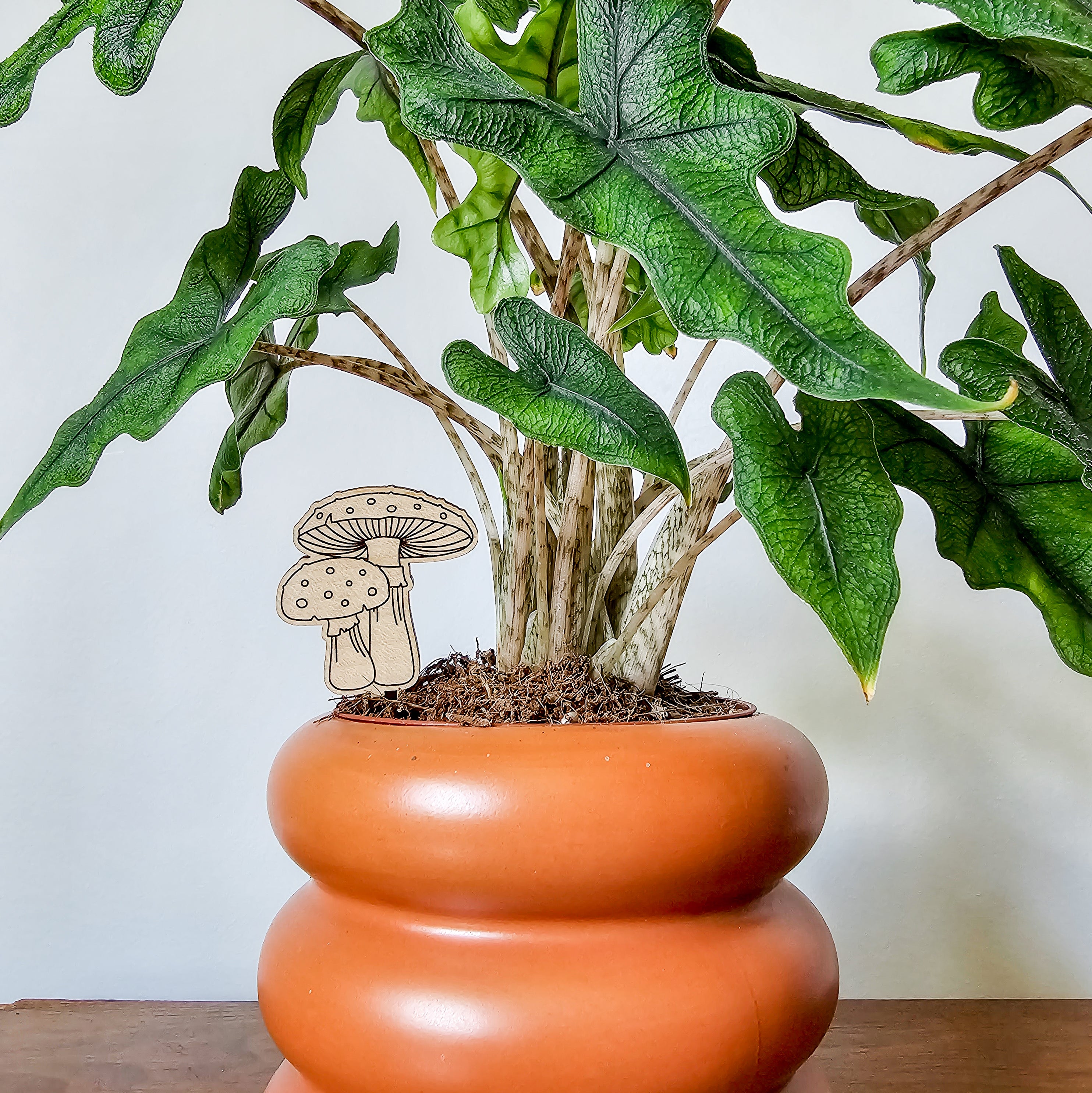 Mushrooms, plant stand, wood plant stand, plant stool, indoor plant stand, indoor store plants, planter, mushroom decor, Mothers Day gift for wife