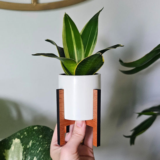 Mini Wood Indoor Plant Stand with Ceramic Pot - Small Mid Century MCM Planter (Straight Sides)