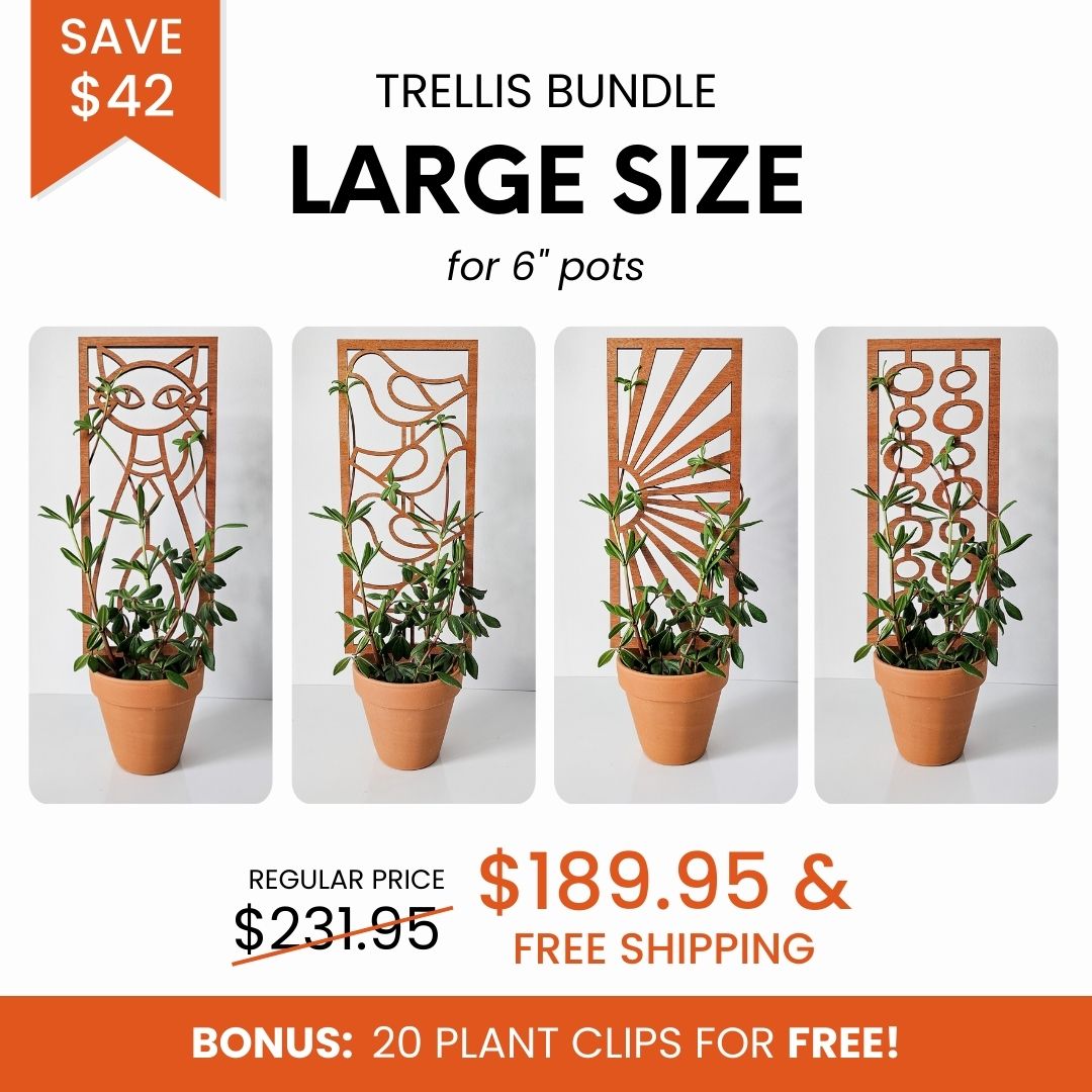 Outlet Trellis bundle - Grande + Regular size