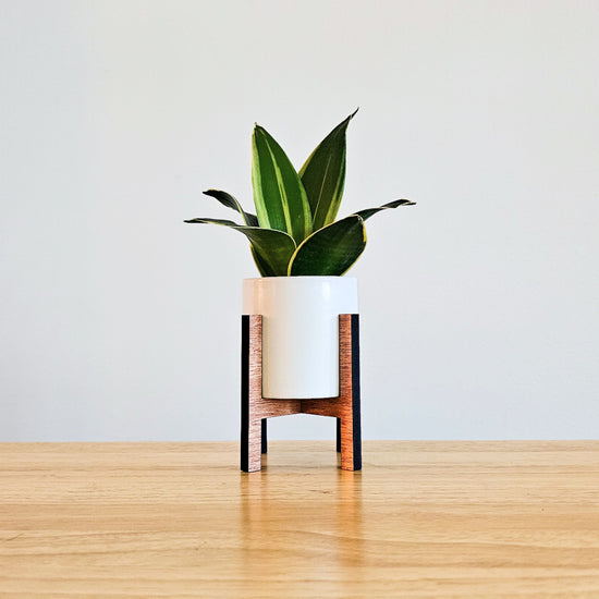 Mini Wood Indoor Plant Stand with Ceramic Pot - Small Mid Century MCM Planter (Straight Sides)