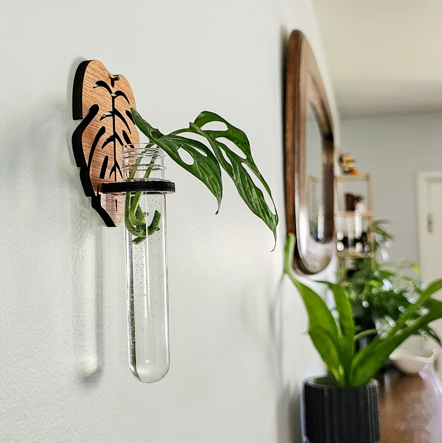 Wall Hanging Propagation Station - Grow Plant Cuttings in Water