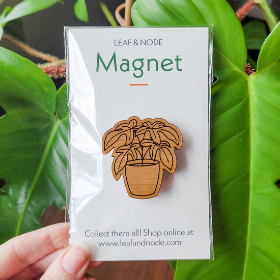 6 Pcs Funny Plant Magnets Decor, Cute Plant Magnet Gift for Potted Plants,  Unique Gifts for Plant Lovers, Perfect Plants Accessories - Add Personality
